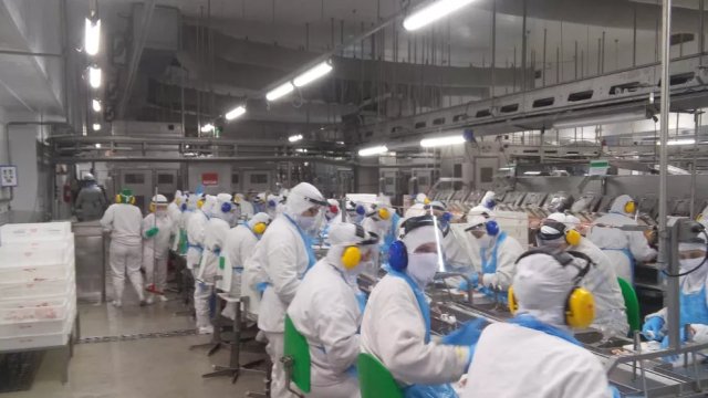 Frigor�ficos s�o condenados por jornada excessiva e sem descanso semanal de funcion�rios no ES
