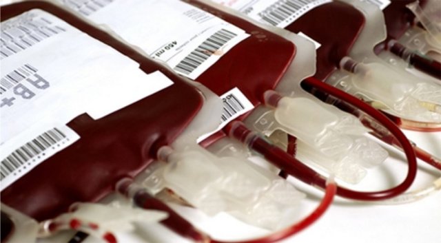 Tatuagem, piercing e idade: as novas regras para doa��o de sangue