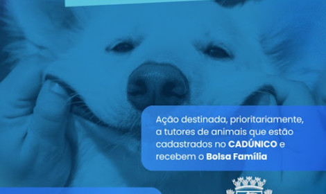Nova Venécia terá campanha de vacina�...<p>A Prefeitura de Nova Venécia, por meio da Secretaria Municipal de Meio Ambiente, realizará no próximo dia 9 de maio, das 8h às 14h, uma importante campanha de vacinação animal, com foco principal na prevenção da cinomose, uma grave doença viral que acomete cães.</p>