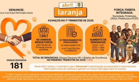 Abril Laranja: Espírito Santo avança ...<p>No mês de conscientização contra os maus-tratos aos animais, o Abril Laranja reforça a importância da mobilização coletiva.</p>